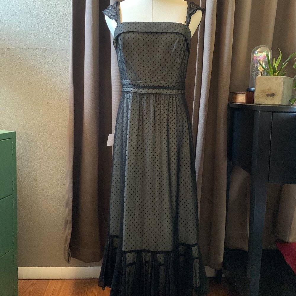 NWT Ann Taylor Loft Swiss Dot Fabric Midi Dress